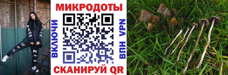Галлюциногенные грибы мицелий  Юрга 